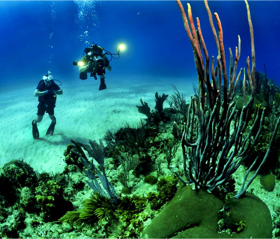 Bautismo-de-Buceo-alicante